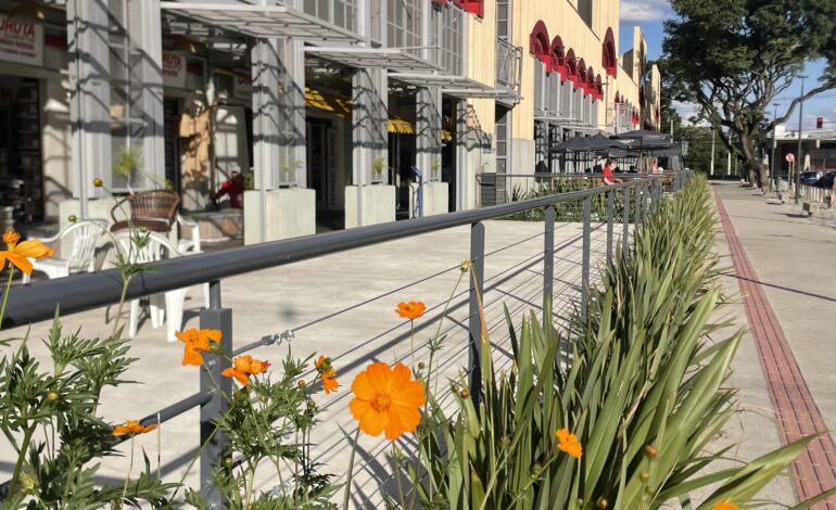Mercado Municipal de Curitiba – Um destino gastronômico e cultural imperdível para turistas