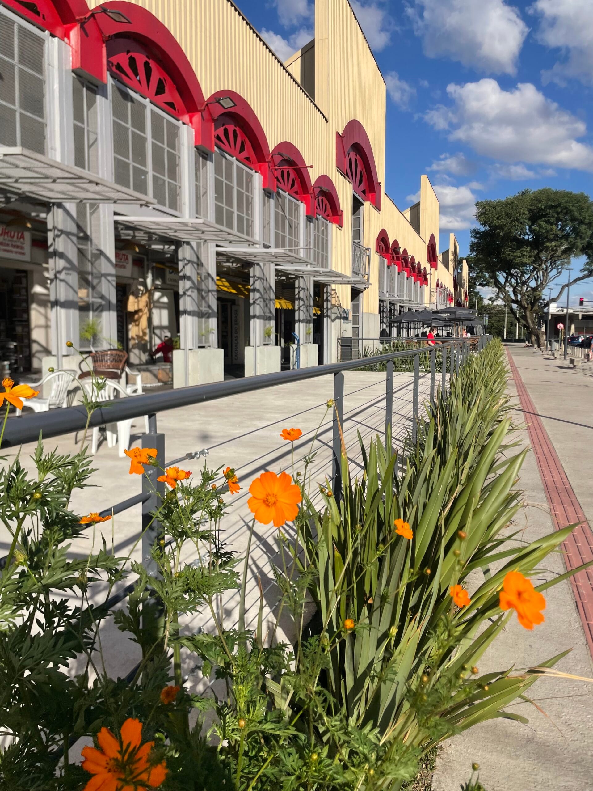 Mercado Municipal de Curitiba – Um destino gastronômico e cultural imperdível para turistas