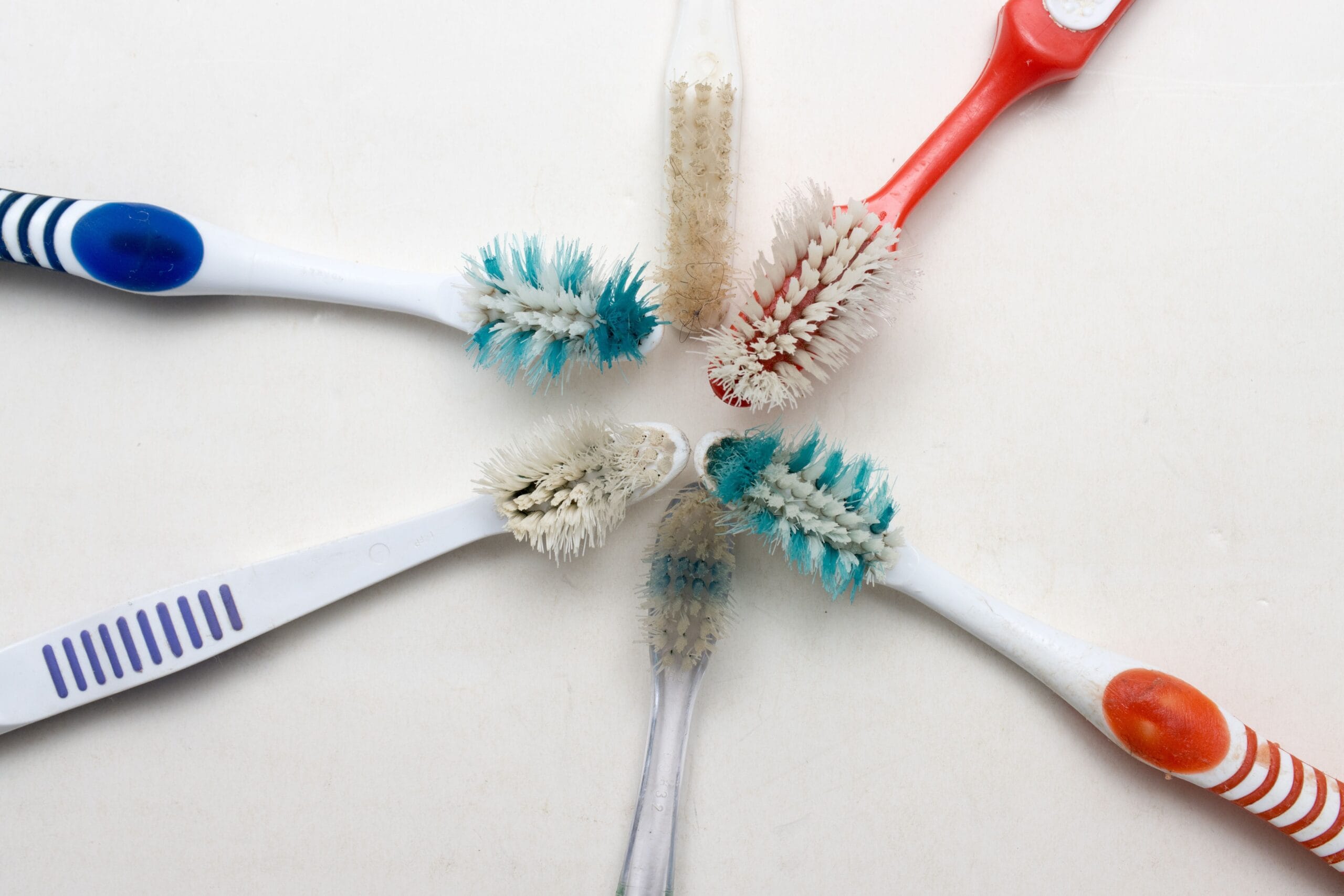 Saúde em risco: estudo identifica mais de 600 tipos de vírus e bactérias em escovas de dentes