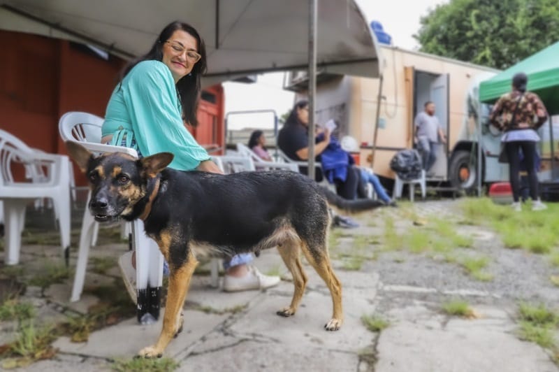 Saiba as datas dos primeiros mutirões de castração gratuita de cães e gatos da Prefeitura