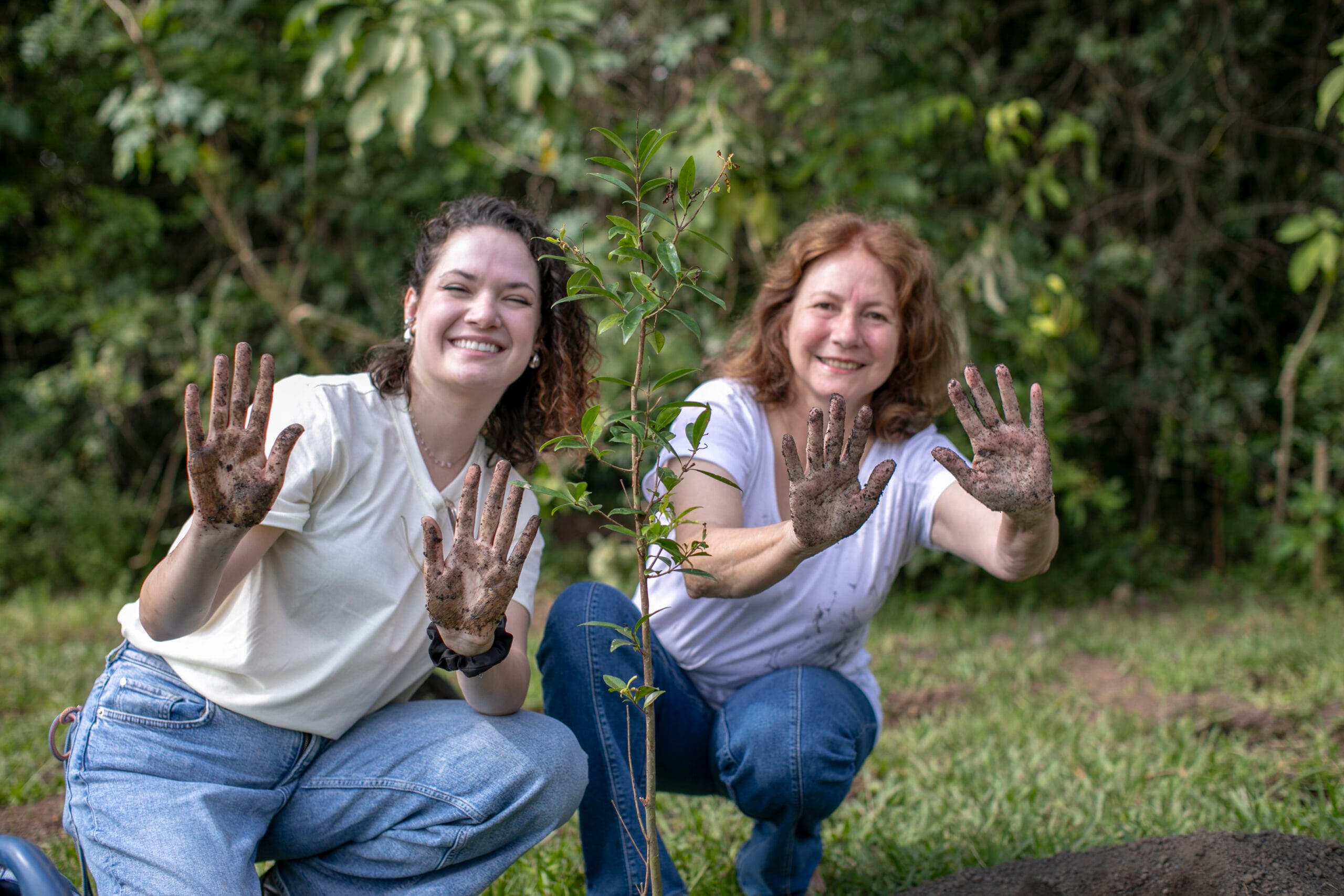 Campanha 7 mil árvores estreia com plantio de 332 mudas no Parque Barigui