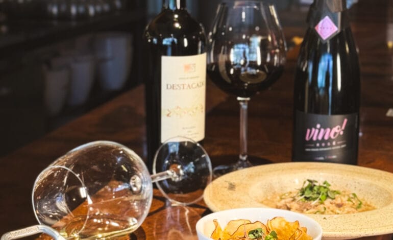 De frutos do mar ao queijo: como escolher o vinho ideal para as entrada